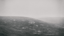 Hill of the Black Berries
